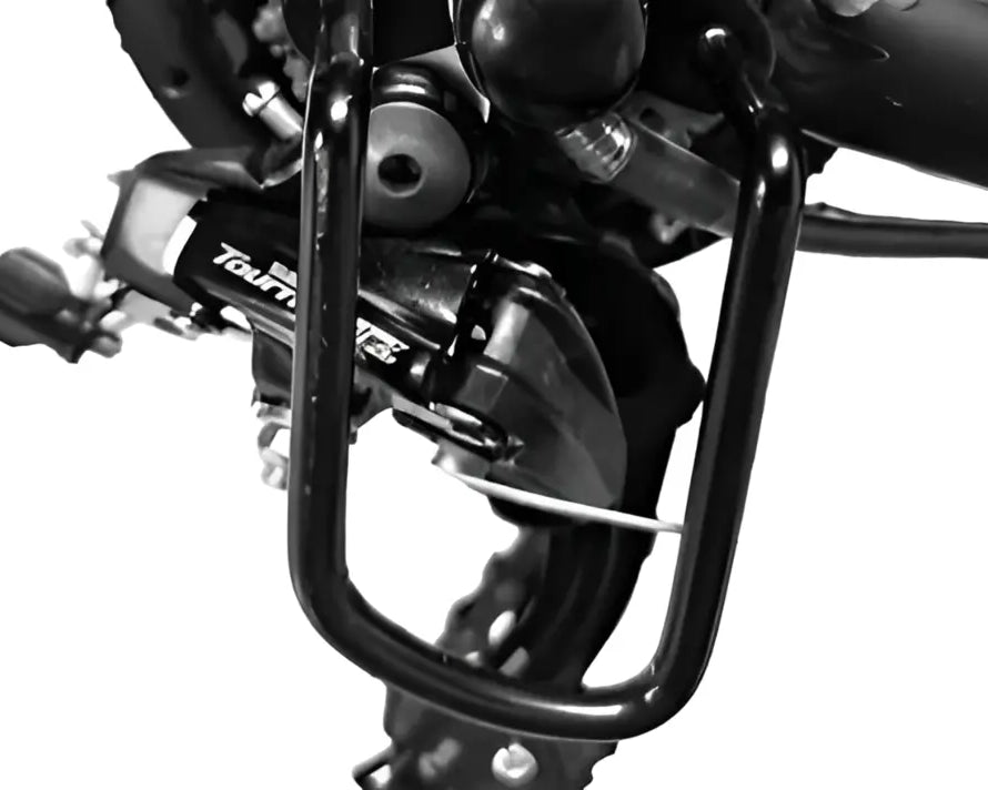 DUOTTS C29 PRO Electric Bike Transmission Protector