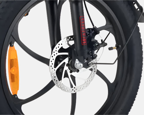 FAFREES F20 Electric Bike front disk brakes
