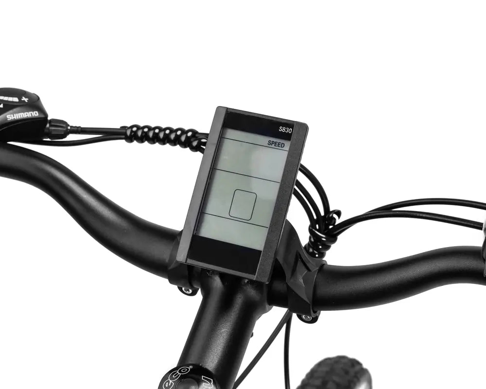 WELKIN WKEM001 Mountain Electric Bike LCD Display