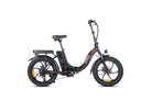 FAFREES F20 Electric Bike black