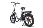 FAFREES F20 Electric Bike grey