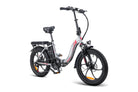 FAFREES F20 Electric Bike grey