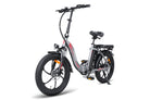 FAFREES F20 Electric Bike grey