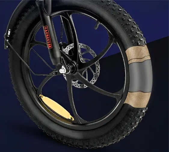 FAFREES F20 Electric Bike tyres